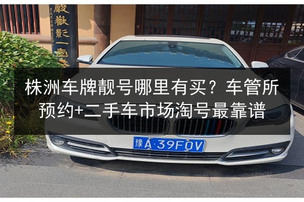 株洲车牌靓号哪里有买?车管所预约+二手车市场淘号最靠谱 第2张 株洲车牌靓号哪里有买?车管所预约+二手车市场淘号最靠谱 第2张