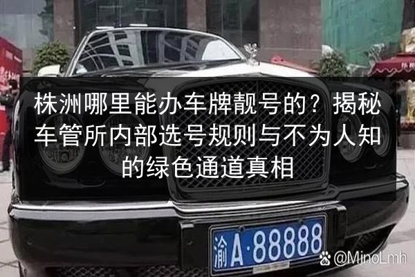 株洲哪里能办车牌靓号的?揭秘车管所内部选号规则与不为人知的绿色通道真相 第2张 株洲哪里能办车牌靓号的?揭秘车管所内部选号规则与不为人知的绿色通道真相 第2张