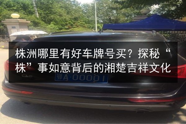 株洲哪里有好车牌号买?探秘“株”事如意背后的湘楚吉祥文化 第1张 株洲哪里有好车牌号买?探秘“株”事如意背后的湘楚吉祥文化 第1张