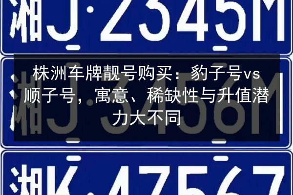 株洲车牌靓号购买：豹子号vs顺子号，寓意、稀缺性与升值潜力大不同 第3张