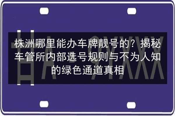 株洲哪里能办车牌靓号的?揭秘车管所内部选号规则与不为人知的绿色通道真相 第3张 株洲哪里能办车牌靓号的?揭秘车管所内部选号规则与不为人知的绿色通道真相 第3张