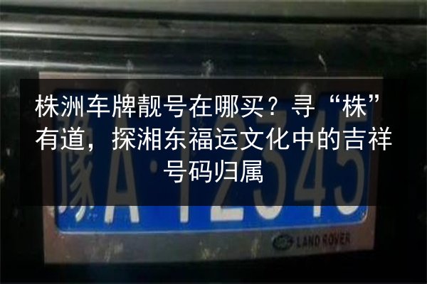 株洲车牌靓号在哪买?寻“株”有道,探湘东福运文化中的吉祥号码归属 第2张 株洲车牌靓号在哪买?寻“株”有道,探湘东福运文化中的吉祥号码归属 第2张