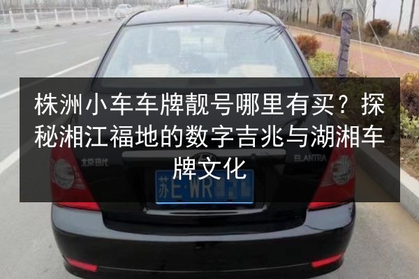 株洲小车车牌靓号哪里有买？探秘湘江福地的数字吉兆与湖湘车牌文化 第2张