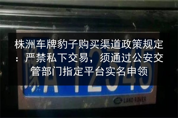 株洲车牌豹子购买渠道政策规定：严禁私下交易，须通过公安交管部门指定平台实名申领 第3张