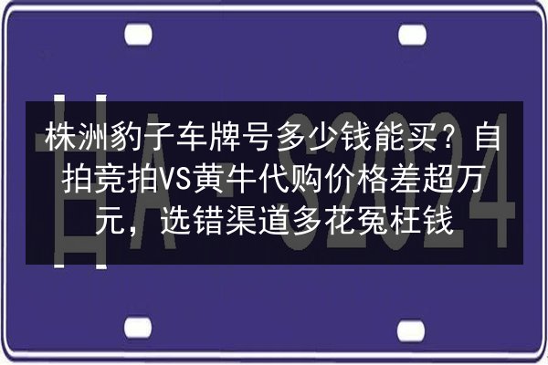 株洲豹子车牌号多少钱能买？自拍竞拍VS黄牛代购价格差超万元，选错渠道多花冤枉钱 第1张