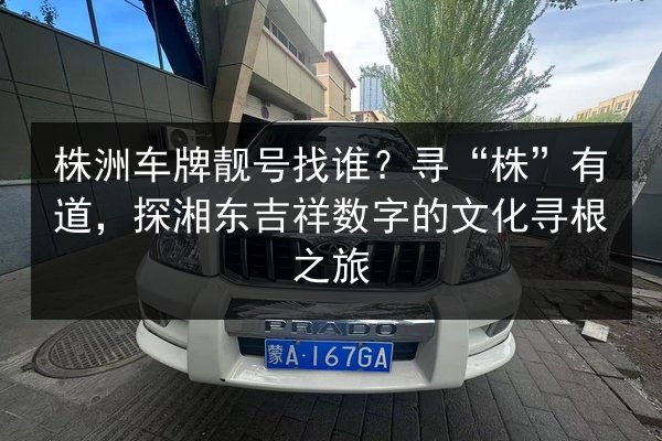 株洲车牌靓号找谁?寻“株”有道,探湘东吉祥数字的文化寻根之旅 第2张 株洲车牌靓号找谁?寻“株”有道,探湘东吉祥数字的文化寻根之旅 第2张