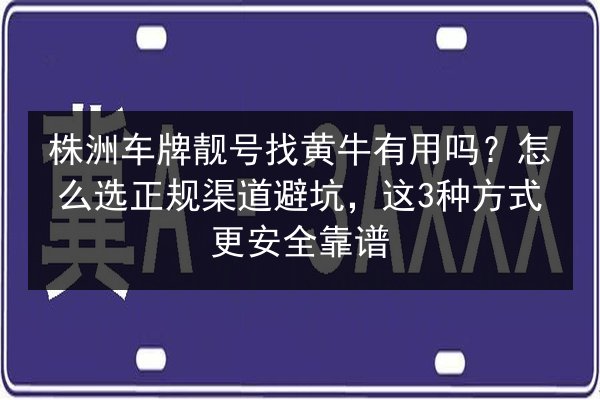 株洲车牌靓号找黄牛有用吗?怎么选正规渠道避坑,这3种方式更安全靠谱 第2张 株洲车牌靓号找黄牛有用吗?怎么选正规渠道避坑,这3种方式更安全靠谱 第2张