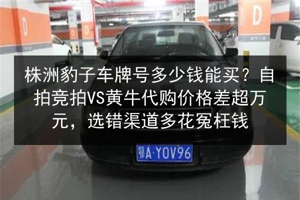 株洲豹子车牌号多少钱能买？自拍竞拍VS黄牛代购价格差超万元，选错渠道多花冤枉钱 第2张