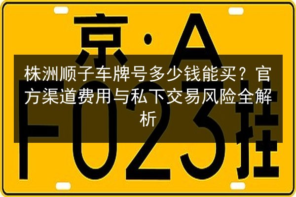 株洲顺子车牌号多少钱能买？官方渠道费用与私下交易风险全解析 第2张