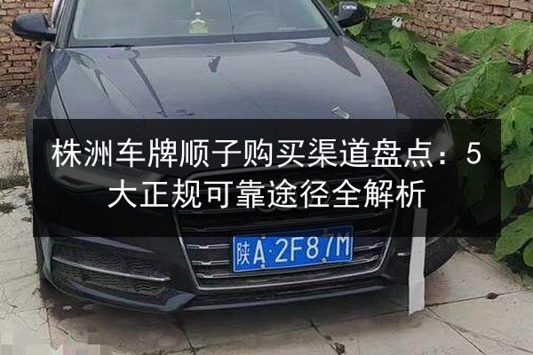 株洲车牌顺子购买渠道盘点：5大正规可靠途径全解析 第2张