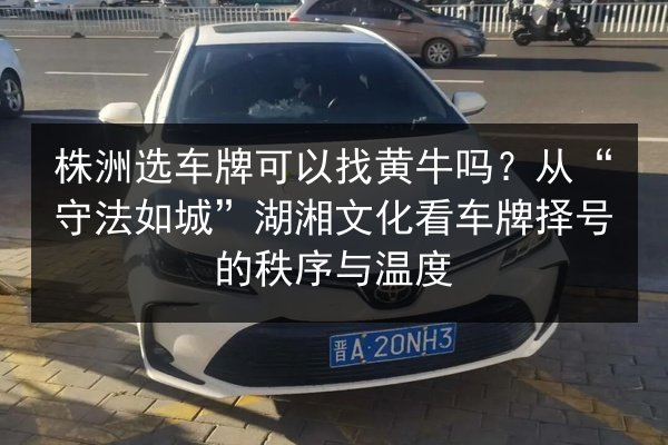 株洲选车牌可以找黄牛吗?从“守法如城”湖湘文化看车牌择号的秩序与温度 第2张 株洲选车牌可以找黄牛吗?从“守法如城”湖湘文化看车牌择号的秩序与温度 第2张