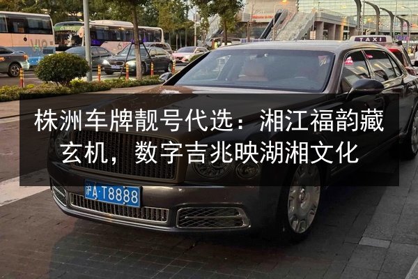 株洲车牌靓号代选:湘江福韵藏玄机,数字吉兆映湖湘文化 第2张 株洲车牌靓号代选:湘江福韵藏玄机,数字吉兆映湖湘文化 第2张
