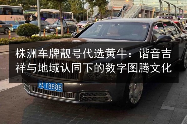 株洲车牌靓号代选黄牛：谐音吉祥与地域认同下的数字图腾文化 第2张