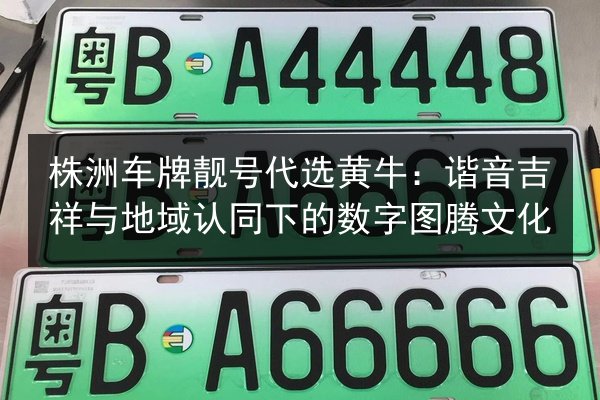 株洲车牌靓号代选黄牛：谐音吉祥与地域认同下的数字图腾文化 第3张