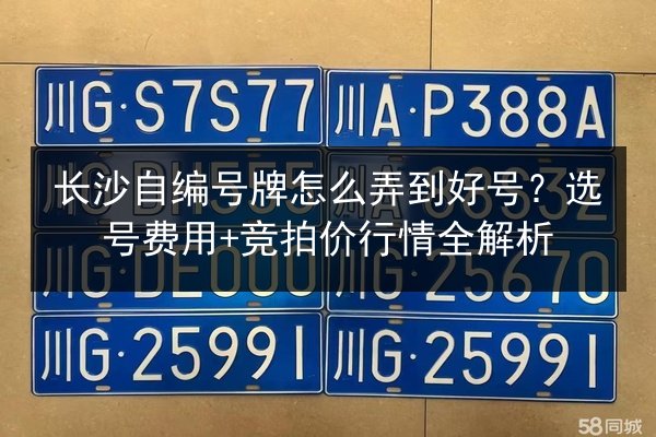 长沙自编号牌怎么弄到好号?选号费用+竞拍价行情全解析 第2张 长沙自编号牌怎么弄到好号?选号费用+竞拍价行情全解析 第2张