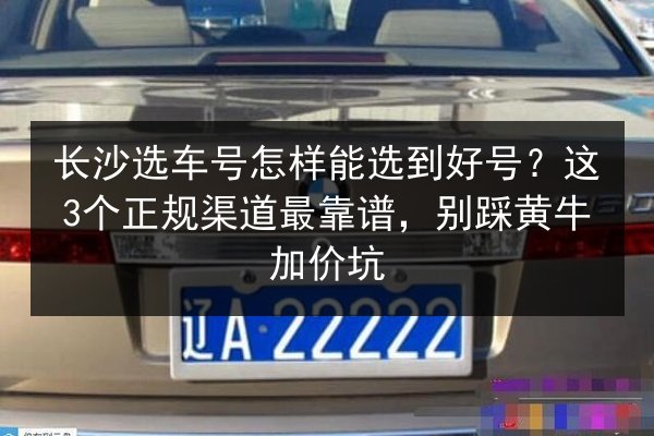 长沙选车号怎样能选到好号?这3个正规渠道最靠谱,别踩黄牛加价坑 第3张 长沙选车号怎样能选到好号?这3个正规渠道最靠谱,别踩黄牛加价坑 第3张