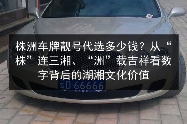 株洲车牌靓号代选多少钱?从“株”连三湘、“洲”载吉祥看数字背后的湖湘文化价值 第2张 株洲车牌靓号代选多少钱?从“株”连三湘、“洲”载吉祥看数字背后的湖湘文化价值 第2张
