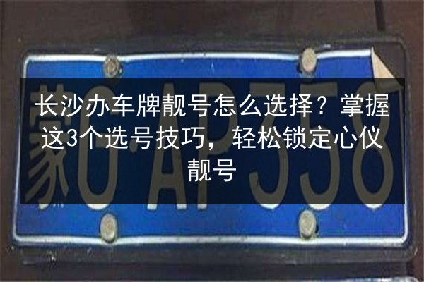 长沙办车牌靓号怎么选择？掌握这3个选号技巧，轻松锁定心仪靓号 第2张