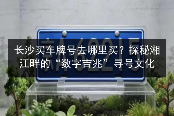 长沙买车牌号去哪里买？探秘湘江畔的“数字吉兆”寻号文化 第3张