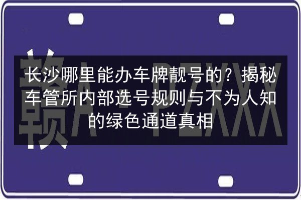 长沙哪里能办车牌靓号的?揭秘车管所内部选号规则与不为人知的绿色通道真相 第2张 长沙哪里能办车牌靓号的?揭秘车管所内部选号规则与不为人知的绿色通道真相 第2张