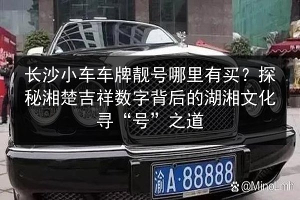 长沙小车车牌靓号哪里有买?探秘湘楚吉祥数字背后的湖湘文化寻“号”之道 第3张 长沙小车车牌靓号哪里有买?探秘湘楚吉祥数字背后的湖湘文化寻“号”之道 第3张