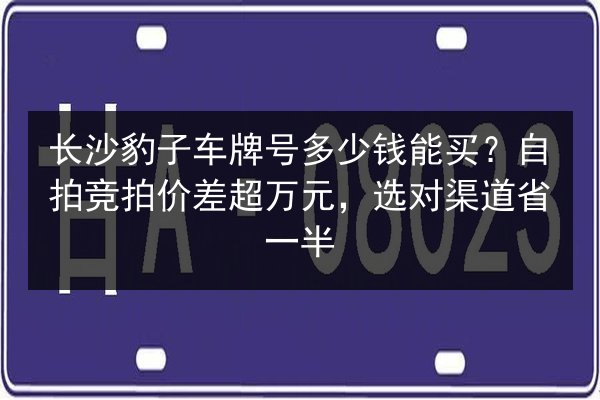 长沙豹子车牌号多少钱能买？自拍竞拍价差超万元，选对渠道省一半