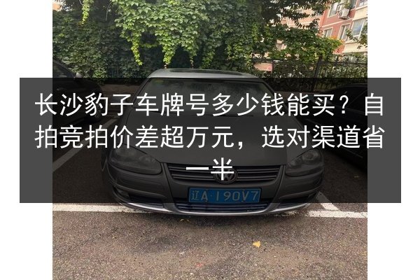 长沙豹子车牌号多少钱能买？自拍竞拍价差超万元，选对渠道省一半 第2张