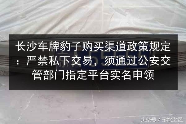 长沙车牌豹子购买渠道政策规定：严禁私下交易，须通过公安交管部门指定平台实名申领 第2张