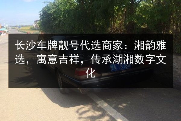 长沙车牌靓号代选商家:湘韵雅选,寓意吉祥,传承湖湘数字文化 第3张 长沙车牌靓号代选商家:湘韵雅选,寓意吉祥,传承湖湘数字文化 第3张
