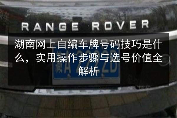 湖南网上自编车牌号码技巧是什么,实用操作步骤与选号价值全解析 第2张 湖南网上自编车牌号码技巧是什么,实用操作步骤与选号价值全解析 第2张