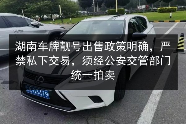 湖南车牌靓号出售政策明确,严禁私下交易,须经公安交管部门统一拍卖 第3张 湖南车牌靓号出售政策明确,严禁私下交易,须经公安交管部门统一拍卖 第3张