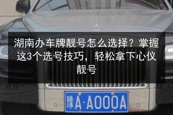 湖南办车牌靓号怎么选择?掌握这3个选号技巧,轻松拿下心仪靓号 第2张 湖南办车牌靓号怎么选择?掌握这3个选号技巧,轻松拿下心仪靓号 第2张