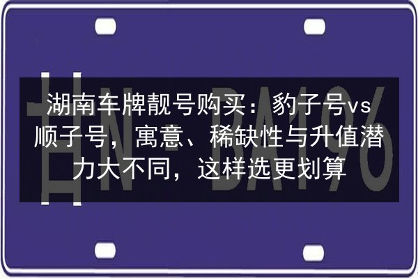 湖南车牌靓号购买:豹子号vs顺子号,寓意、稀缺性与升值潜力大不同,这样选更划算 第1张 湖南车牌靓号购买:豹子号vs顺子号,寓意、稀缺性与升值潜力大不同,这样选更划算 第1张