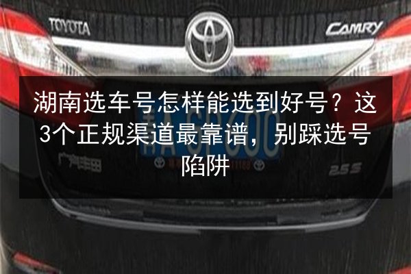 湖南选车号怎样能选到好号？这3个正规渠道最靠谱，别踩选号陷阱 第2张