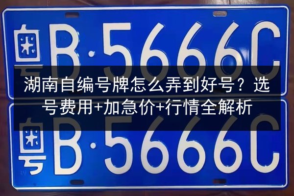 湖南自编号牌怎么弄到好号?选号费用+加急价+行情全解析 第2张 湖南自编号牌怎么弄到好号?选号费用+加急价+行情全解析 第2张