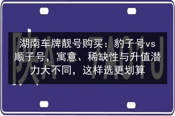 湖南车牌靓号购买:豹子号vs顺子号,寓意、稀缺性与升值潜力大不同,这样选更划算 第2张 湖南车牌靓号购买:豹子号vs顺子号,寓意、稀缺性与升值潜力大不同,这样选更划算 第2张