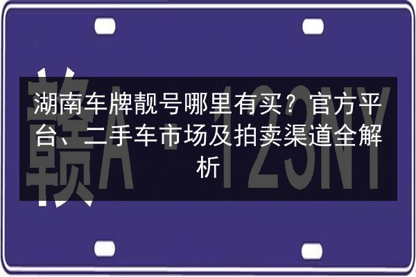 湖南车牌靓号哪里有买？官方平台、二手车市场及拍卖渠道全解析 第2张