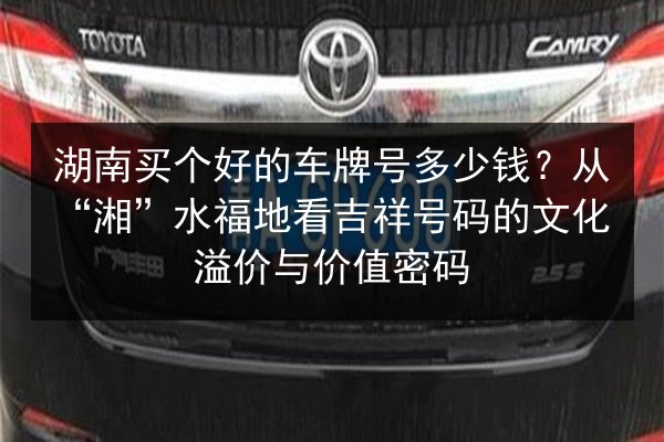 湖南买个好的车牌号多少钱？从“湘”水福地看吉祥号码的文化溢价与价值密码 第2张