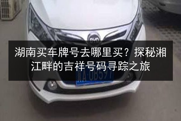湖南买车牌号去哪里买？探秘湘江畔的吉祥号码寻踪之旅