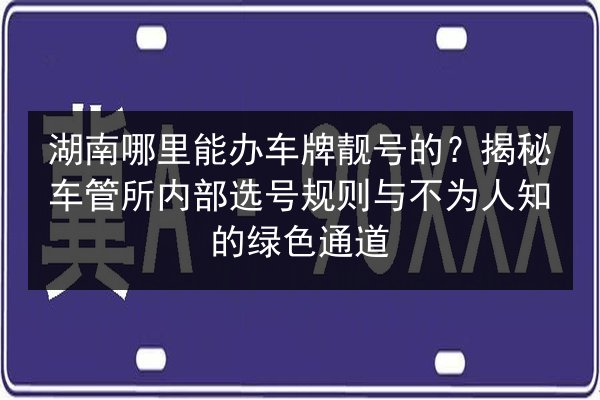 湖南哪里能办车牌靓号的?揭秘车管所内部选号规则与不为人知的绿色通道 第2张 湖南哪里能办车牌靓号的?揭秘车管所内部选号规则与不为人知的绿色通道 第2张