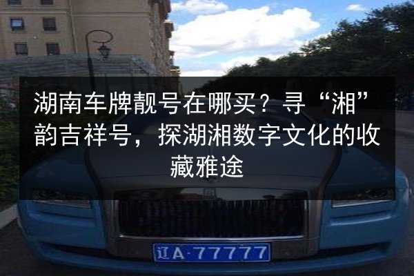湖南车牌靓号在哪买？寻“湘”韵吉祥号，探湖湘数字文化的收藏雅途 第2张