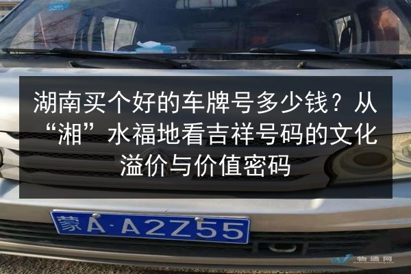 湖南买个好的车牌号多少钱？从“湘”水福地看吉祥号码的文化溢价与价值密码 第3张