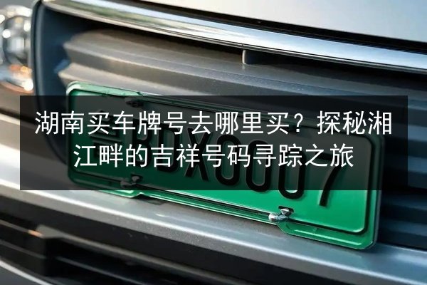 湖南买车牌号去哪里买？探秘湘江畔的吉祥号码寻踪之旅 第2张