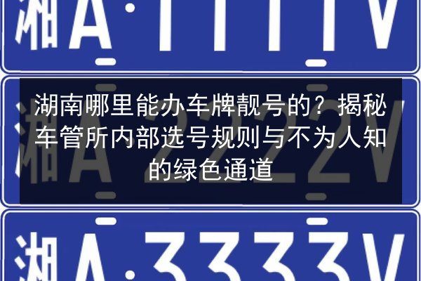 湖南哪里能办车牌靓号的?揭秘车管所内部选号规则与不为人知的绿色通道 第3张 湖南哪里能办车牌靓号的?揭秘车管所内部选号规则与不为人知的绿色通道 第3张