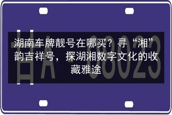 湖南车牌靓号在哪买？寻“湘”韵吉祥号，探湖湘数字文化的收藏雅途 第3张