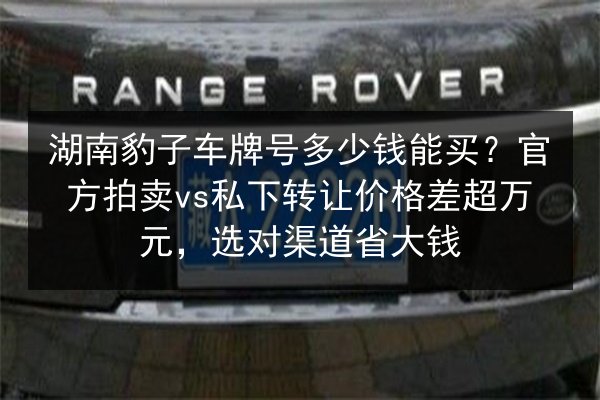 湖南豹子车牌号多少钱能买?官方拍卖vs私下转让价格差超万元,选对渠道省大钱 第2张 湖南豹子车牌号多少钱能买?官方拍卖vs私下转让价格差超万元,选对渠道省大钱 第2张