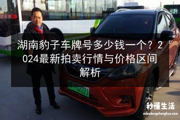 湖南豹子车牌号多少钱一个？2024最新拍卖行情与价格区间解析 第2张