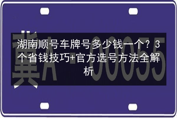 湖南顺号车牌号多少钱一个?3个省钱技巧+官方选号方法全解析 第1张 湖南顺号车牌号多少钱一个?3个省钱技巧+官方选号方法全解析 第1张