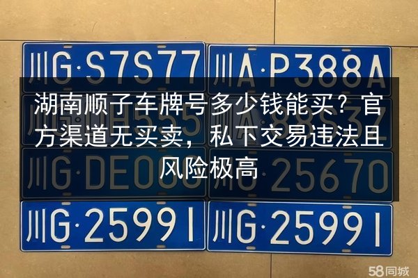 湖南顺子车牌号多少钱能买?官方渠道无买卖,私下交易违法且风险极高 第2张 湖南顺子车牌号多少钱能买?官方渠道无买卖,私下交易违法且风险极高 第2张