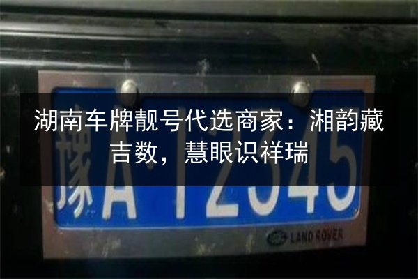 湖南车牌靓号代选商家：湘韵藏吉数，慧眼识祥瑞 第1张